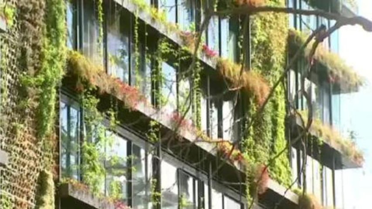 Sydney goes vertical with greenery