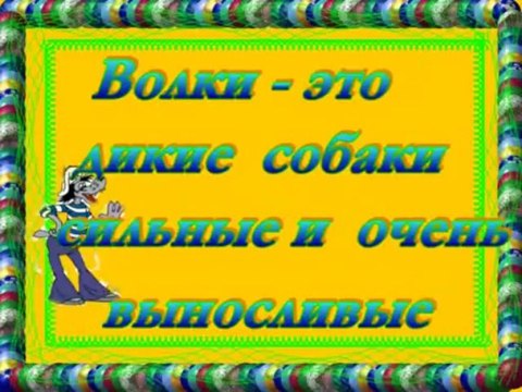 Фауна планеты ЗЕМЛЯ Часть 1 Медведи и волки