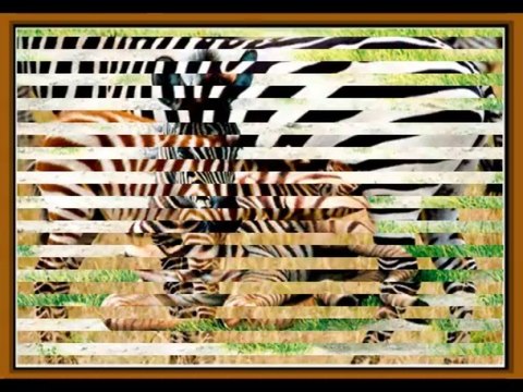 Фауна планеты ЗЕМЛЯ 2 Травоядные животные2 серия