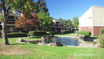Avenel Apartments in San Jose, CA - ForRent.com