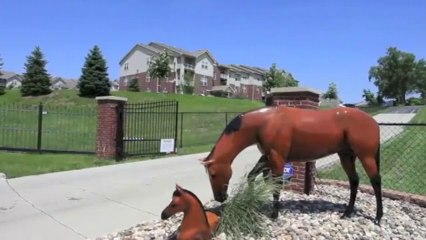 The Landings Apartments in Bellevue, NE - ForRent.com