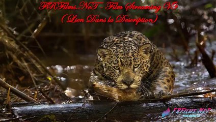 Amazonia film en entier streaming VF en français gratuit