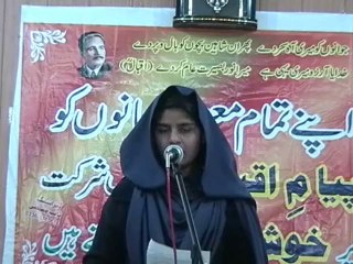 Microscreen International Attock TMA Hall