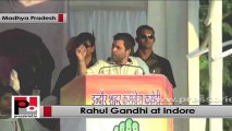 Rahul Gandhi in Indore (MP): Congress united but BJP divides people