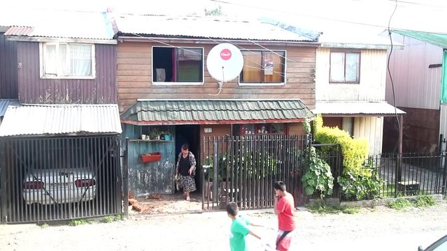 Un chien aide des humains à rentrer du bois dans la maison