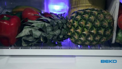 Réfrigérateur Double porte DN161220DX - Beko