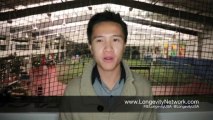 Longevity USA Thank You 2013 | Longevity's Rehab1000 Pain Relief Cream pt. 4
