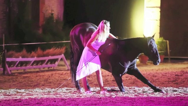 Aude Muller photos spectacles 2013