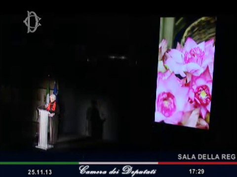 Roma - Violenza su donne - Ferite a morte di Serena Dandini (25.11.13)