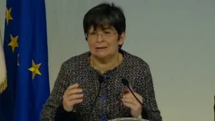 Roma - Conferenza stampa del Presidente Letta e del Vice Ministro Guerra (25.11.13)