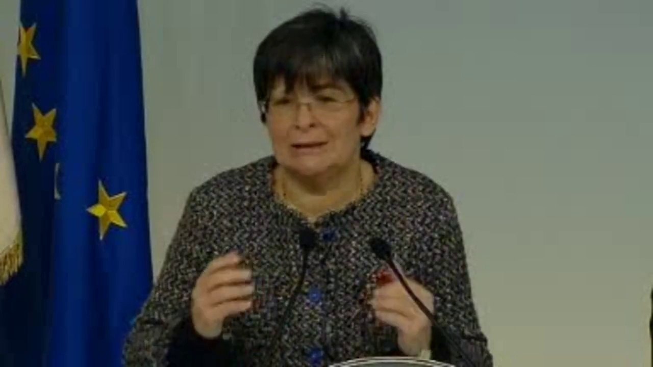 Roma - Conferenza stampa del Presidente Letta e del Vice Ministro Guerra (25.11.13)