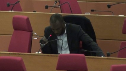 Audition du préfet de police de Paris devant les conseillers régionaux franciliens