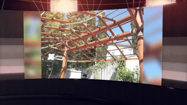 Thatch - Thatching - Thatched Palapa