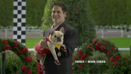 SKECHERS Super Bowl Commercial - GO RUN Mr. Quiggly!
