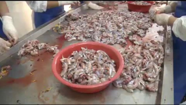 Mutfağımızda yeri yok, getirisi çok