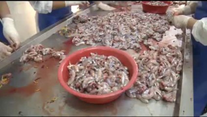 Mutfağımızda yeri yok, getirisi çok