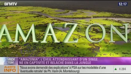 Culture & vous: "Amazonia" et "La sorcière dans les airs" - 27/11