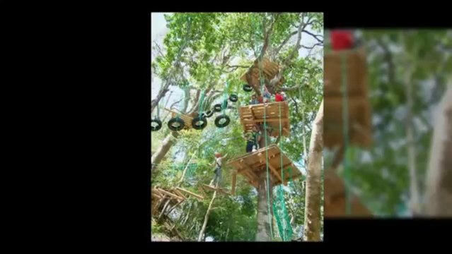 Tours En Costa Rica 60401, Llámanos ahora - (506)26398303 | Adventure Park Costa Rica