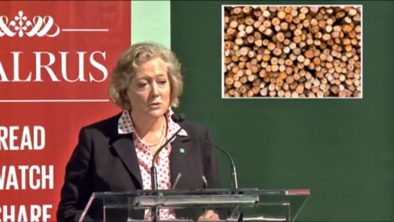 Forests: Too Big to Fail