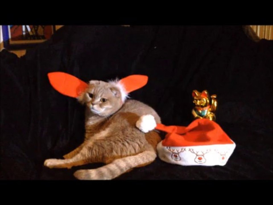 Merry Christmas / Frohe Weihnachten