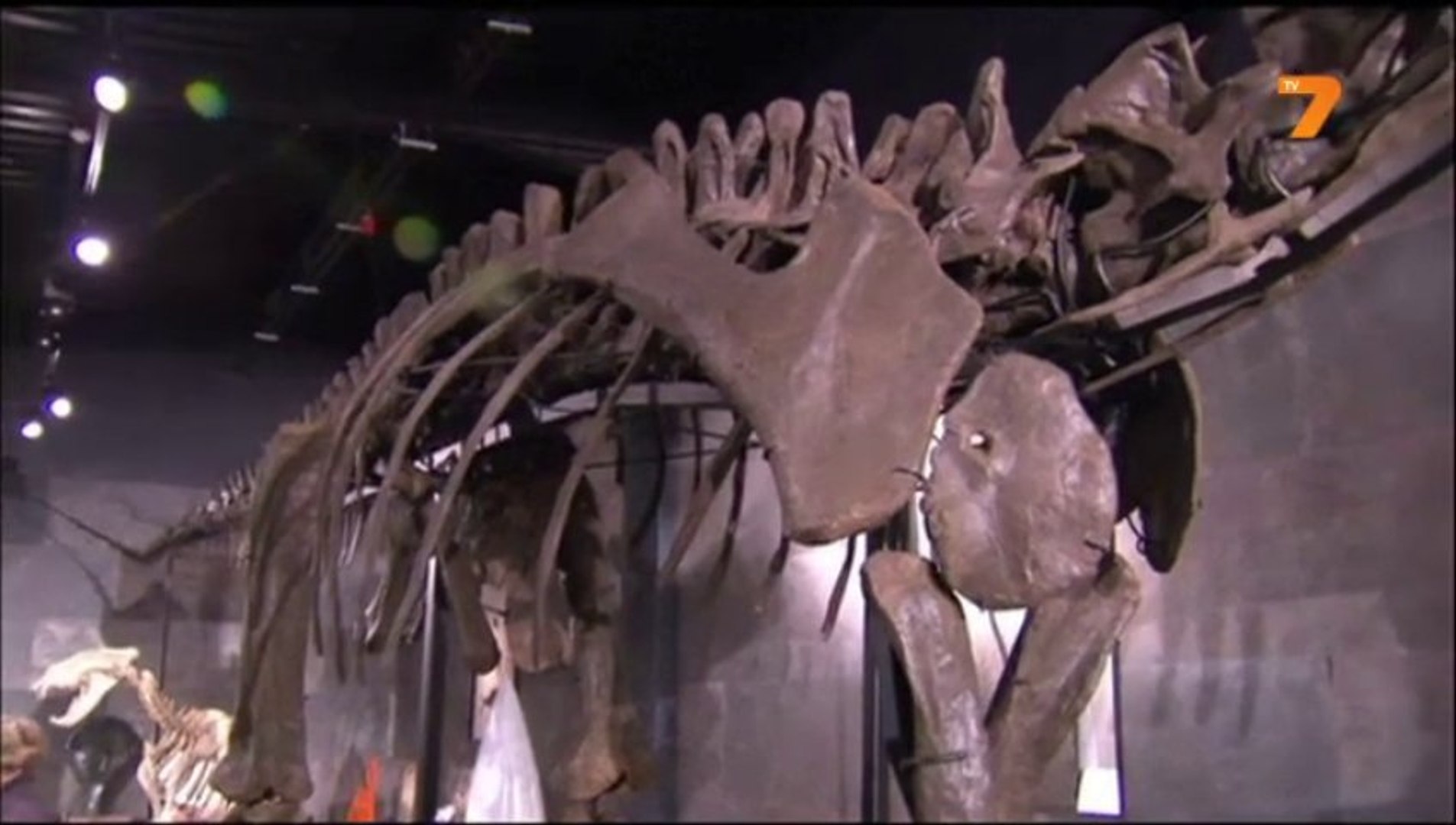 Продават на търг скелет на динозавър