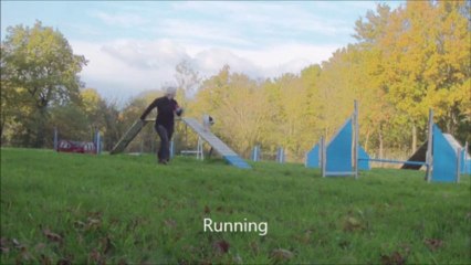 Eclipse 51th Running DW 2013-11-27