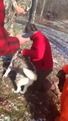 Hunters save DOG from death on frozen lake.
