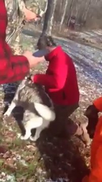 Hunters save DOG from death on frozen lake.