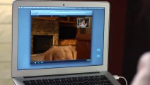 A webcam to chat with your pet... Crazy commercial film!