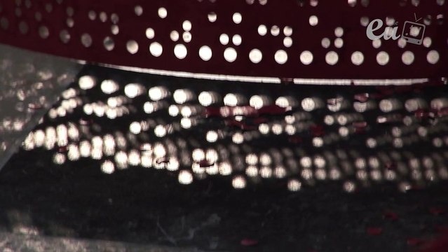 Exposition Fraise et framboise - Dominique De Beir & Sylvie Houriez à la chapelle du Collège d'Eu