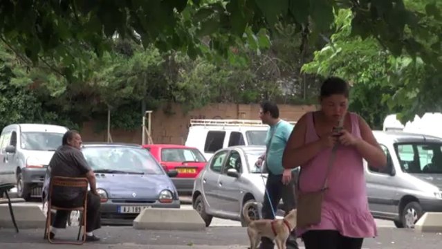 A6 webdoc Mobilités dans l'Hérault : Au fil des saisons