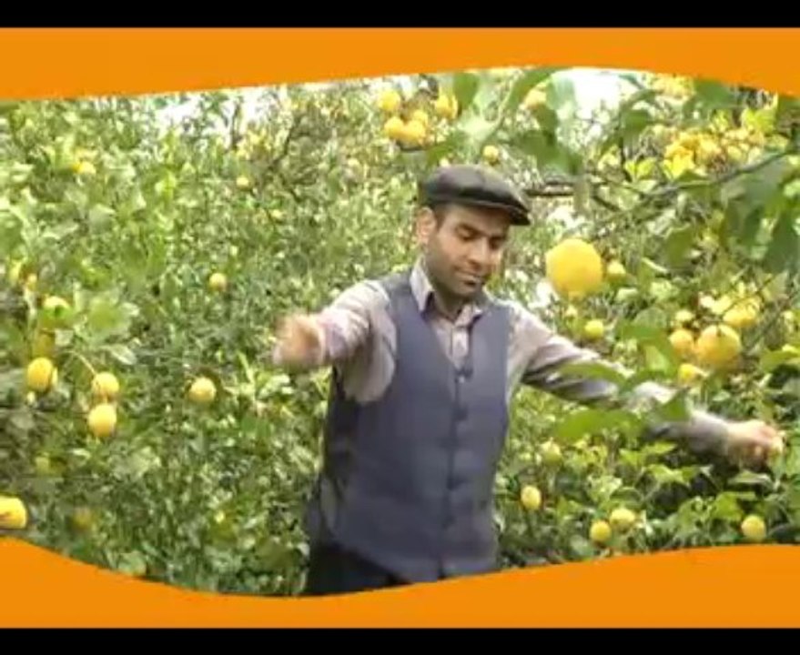 MAAMID EMMİ (Mahmut Amca) Gürhan Ötün