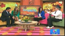 FERNANDO COLUNGA Y BLANCA SOTO EN DESPIERTA AMERICA