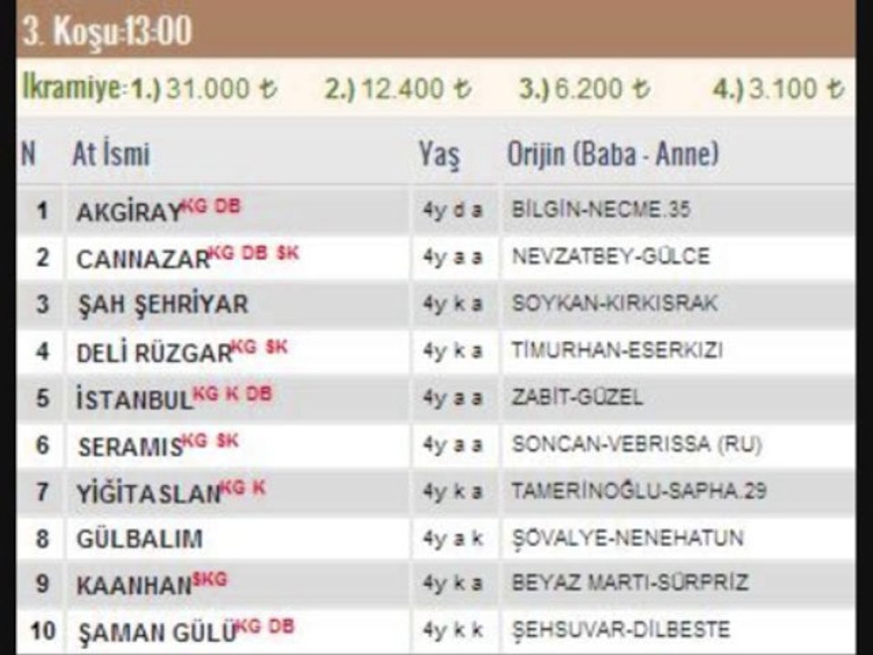 at yarışı