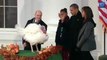 Obama grants turkeys reprieve from stuffing-filled fate