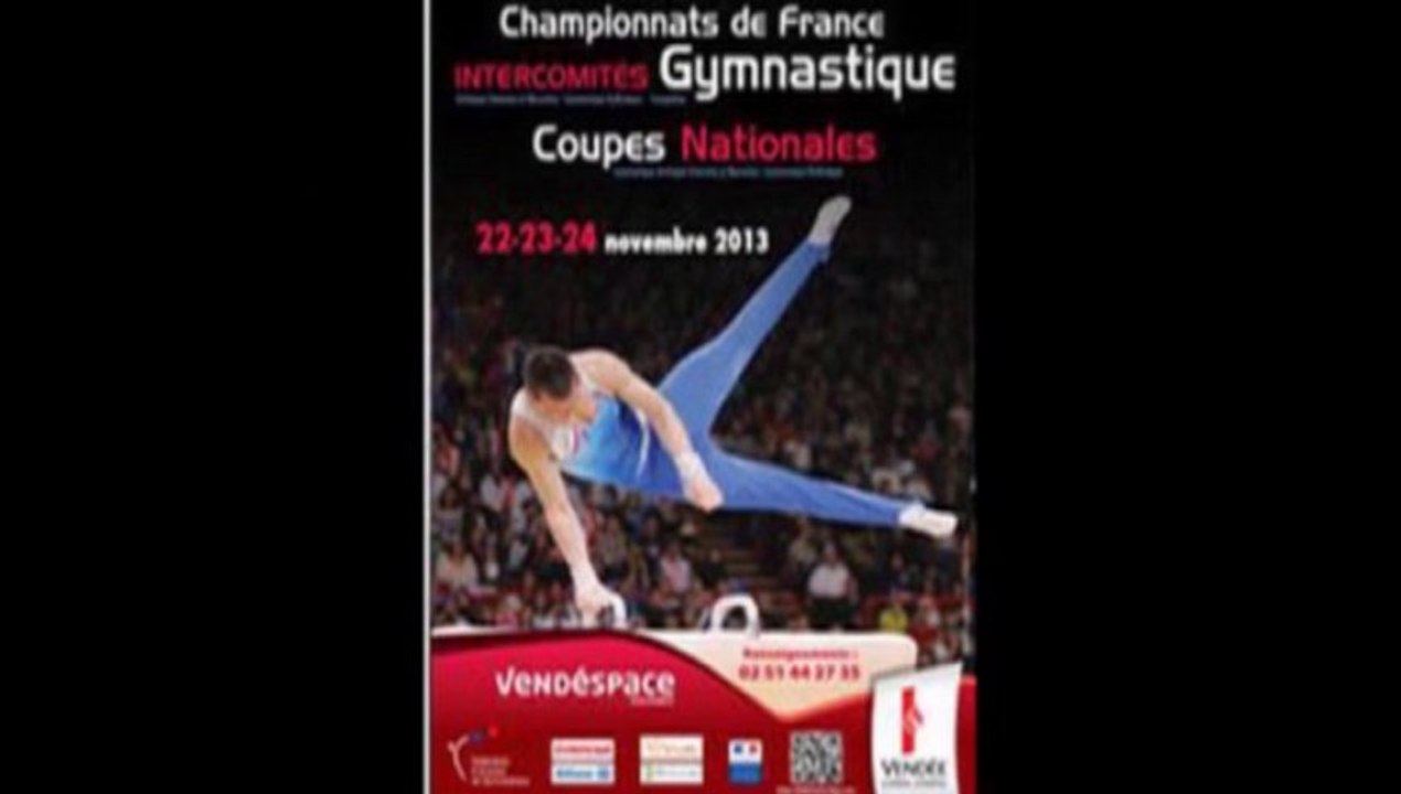 Enzo et Loïc - GAM - coupes nationales en vendée 23 11 2013