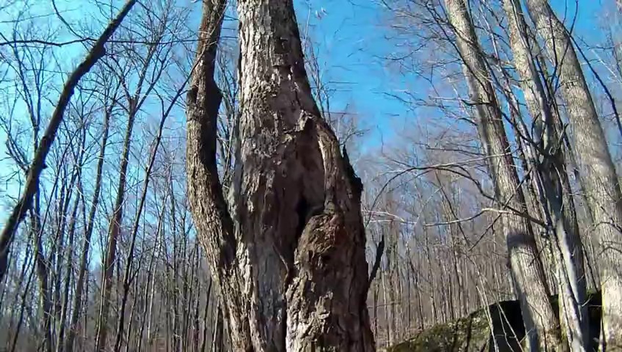 Parc Val-David Val-Morin