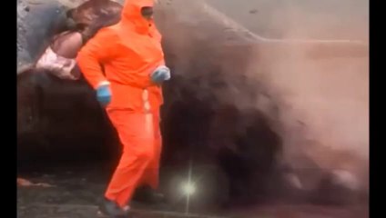 BALLENA MUERTA EXPLOTA FRENTE A PESCADOR!!