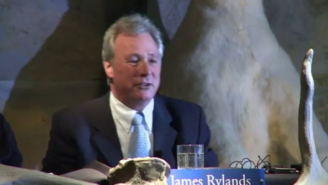 Dinossauro é arrematado por 1,5 milhão de reais