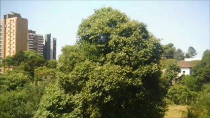 Marcos R.Leão-União da Vitória-PR