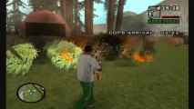 Grand Theft Auto: San Andreas - Wear Flowers In Your Hair