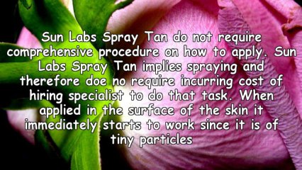 All You Need To Learn Concerning Sun Labs Spray Tan