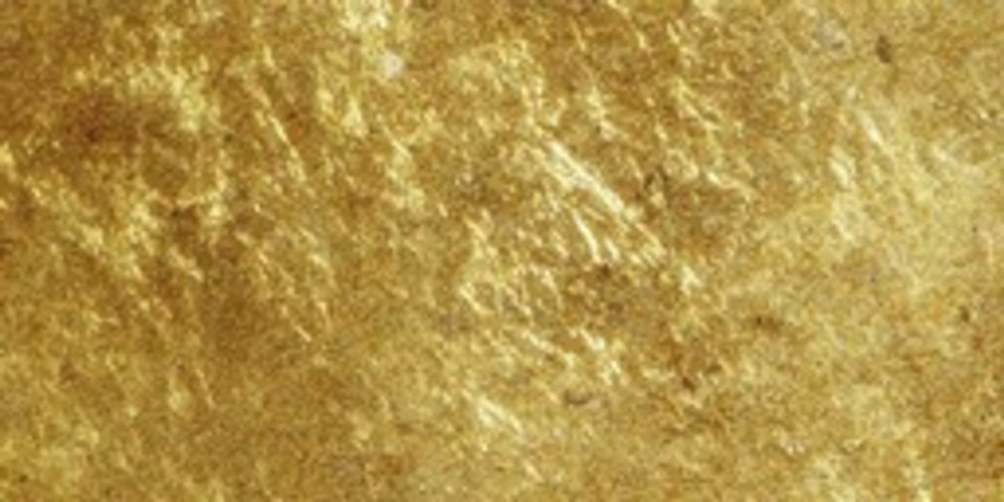 COD Ghosts PS4 Extinction How To Get Gold Camo