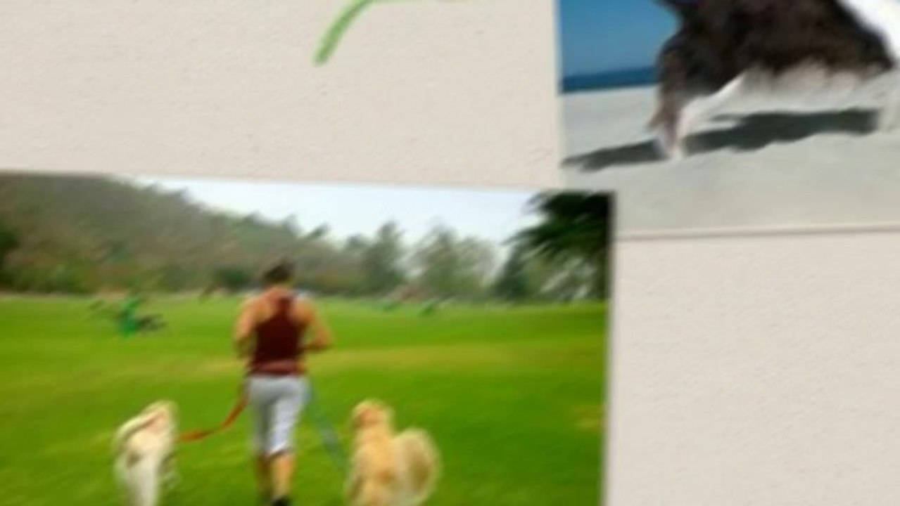 Hip & Joint Supplement For Hip Dysplasia in Large  Canines