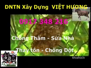 Tho chong tham nha ve sinh quan 7 -kova // 0917 348216