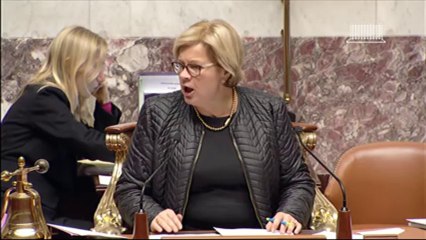 LOI DE PROGRAMMATION MILITAIRE 2014-2019 (suite) - Mercredi 27 Novembre 2013