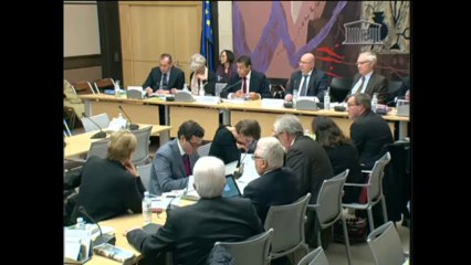 Audition de M. Xavier Thabuis, président de la FNSEA - Mercredi 27 Novembre 2013