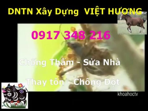 Tho chong tham nha ve sinh quan 9 -kova / 0917 348216