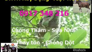 Tho chong tham nha ve sinh quan 10 -kova / 0917 348216