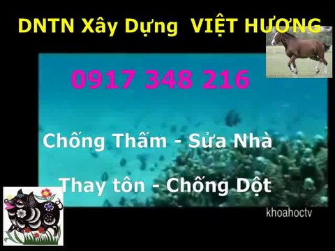 Tho chong tham nha ve sinh quan 9 -kova //// 0917 348216